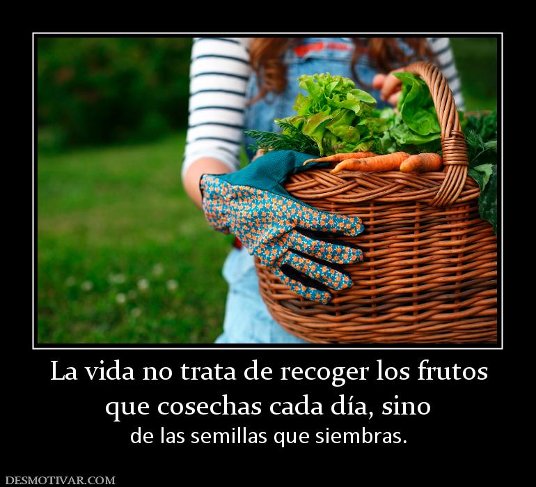 La vida no trata de recoger los frutos que cosechas cada día, sino  de las semillas que siembras.