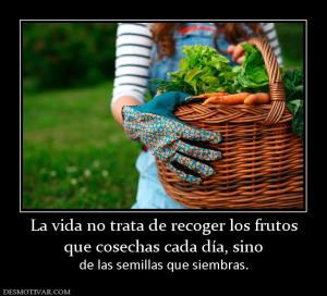 La vida no trata de recoger los frutos que cosechas cada día, sino  de las semillas que siembras.