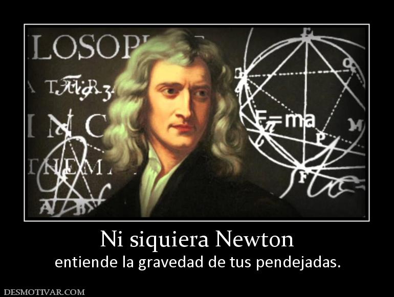 Ni siquiera Newton entiende la gravedad de tus pendejadas.