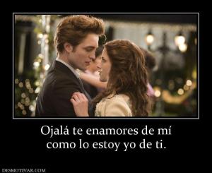 Ojalá te enamores de mí como lo estoy yo de ti.