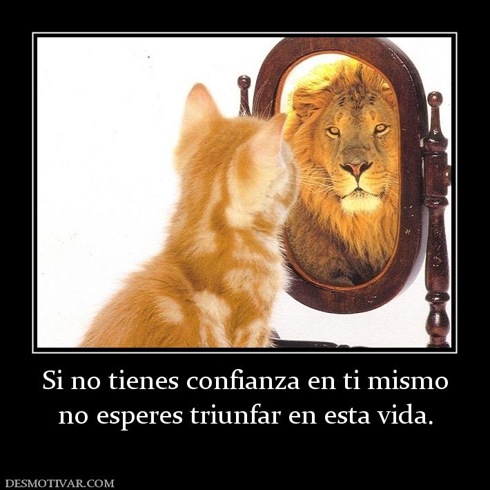 Si no tienes confianza en ti mismo no esperes triunfar en esta vida.