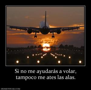 Si no me ayudarás a volar, tampoco me ates las alas.