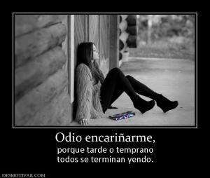 Odio encariñarme, porque tarde o temprano todos se terminan yendo.