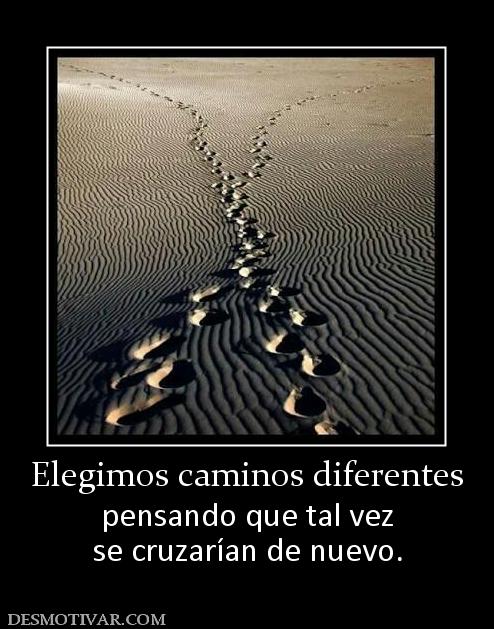 Elegimos caminos diferentes pensando que tal vez se cruzarían de nuevo.