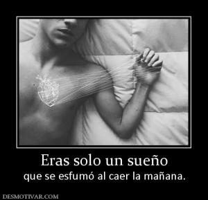 Eras solo un sueño que se esfumó al caer la mañana.
