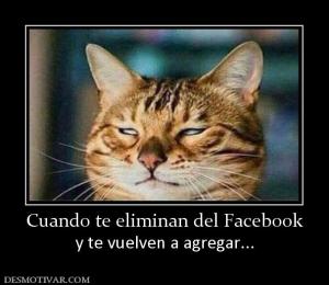 Cuando te eliminan del Facebook y te vuelven a agregar...