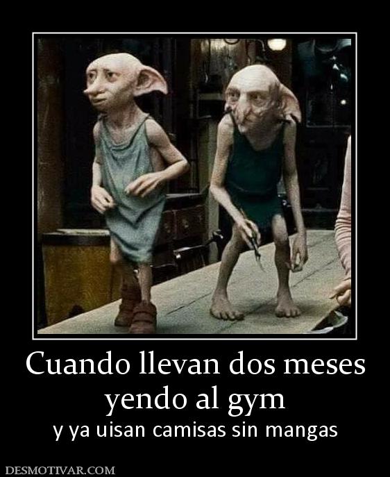 Cuando llevan dos meses yendo al gym y ya uisan camisas sin mangas