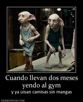 Cuando llevan dos meses yendo al gym y ya uisan camisas sin mangas