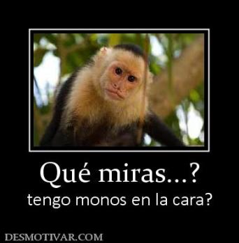 Qué miras...? tengo monos en la cara?