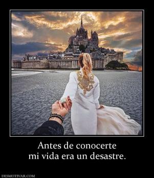 Antes de conocerte mi vida era un desastre.