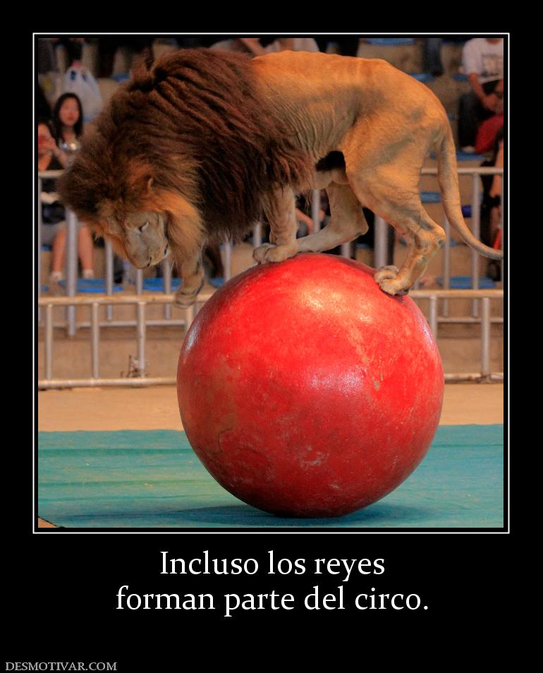 Incluso los reyes forman parte del circo.