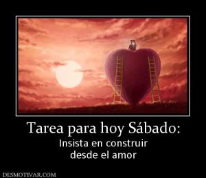 Tarea para hoy Sábado: Insista en construir desde el amor
