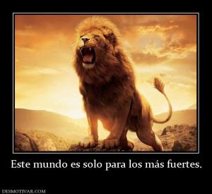 Este mundo es solo para los más fuerte