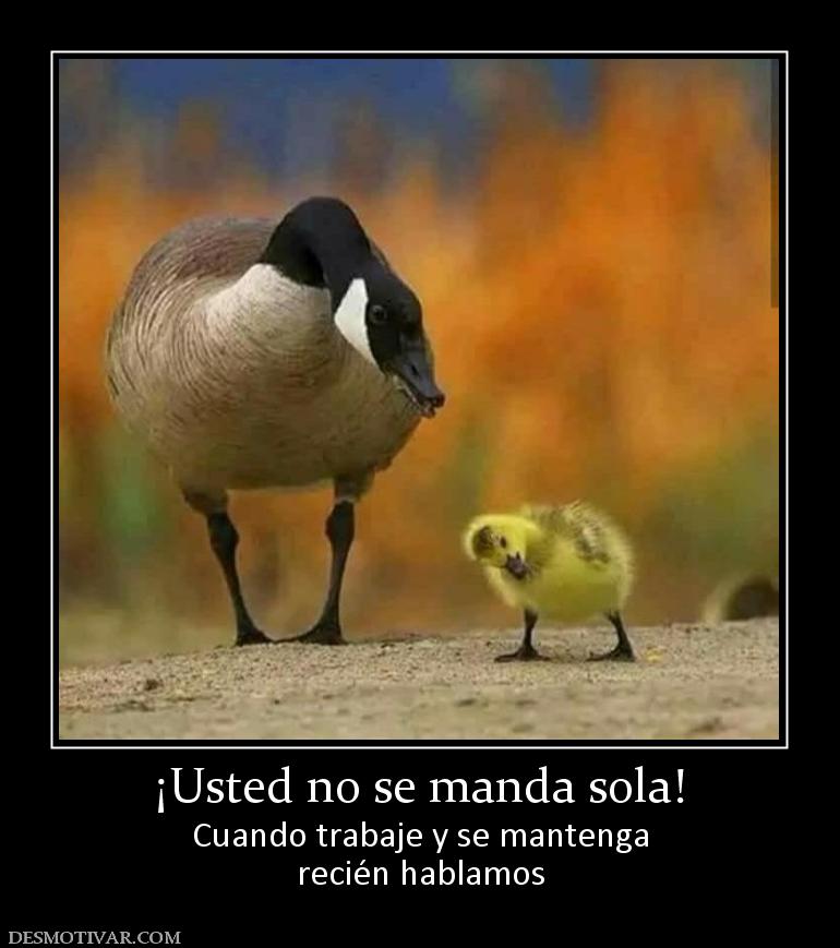 ¡Usted no se manda sola! Cuando trabaje y se mantenga recién hablamos