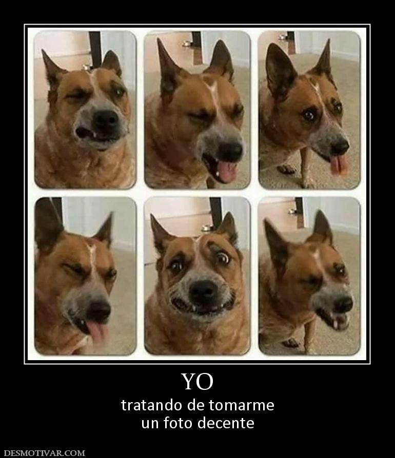 YO tratando de tomarme un foto decente
