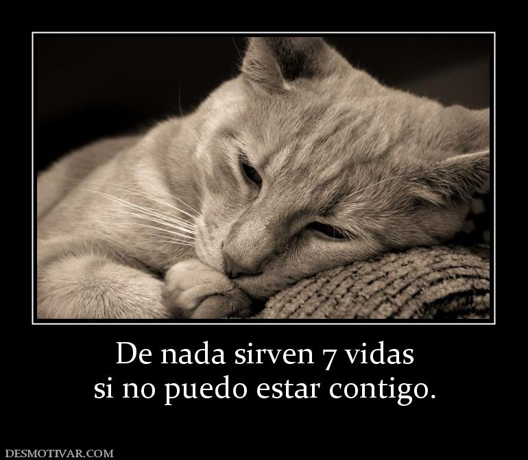 De nada sirven 7 vidas si no puedo estar contigo.