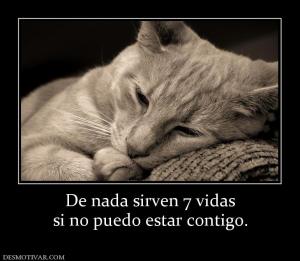 De nada sirven 7 vidas si no puedo estar contigo.