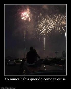 Yo nunca había querido como te quise.