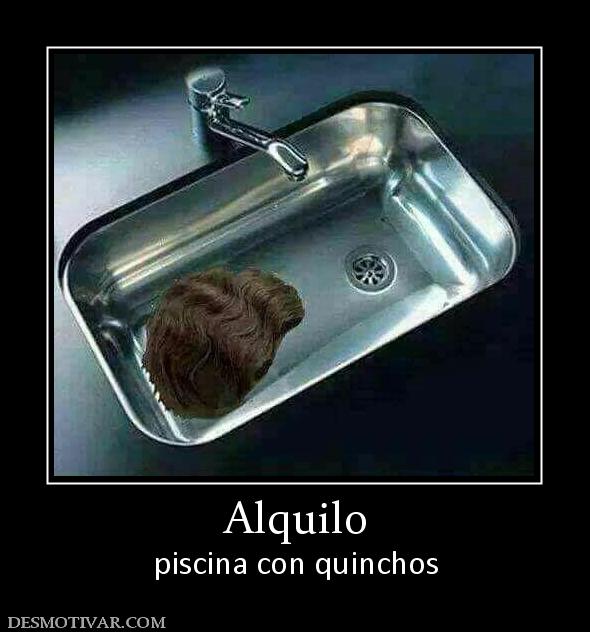 Alquilo piscina con quinchos
