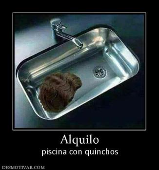 Alquilo piscina con quinchos