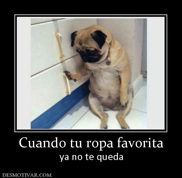 Cuando tu ropa favorita ya no te queda