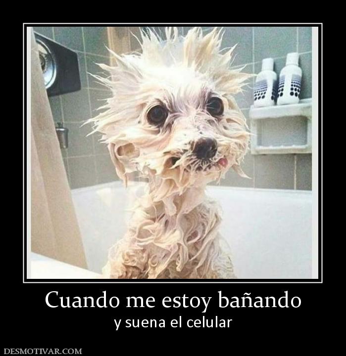 Cuando me estoy bañando y suena el celular