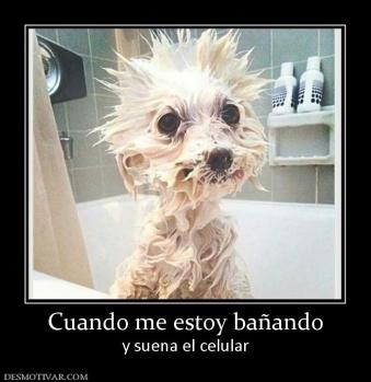 Cuando me estoy bañando y suena el celular