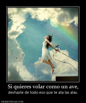 Si quieres volar como un ave, deshazte de todo eso que te ata las alas.
