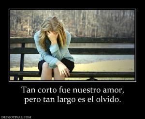 Tan corto fue nuestro amor, pero tan largo es el olvido.