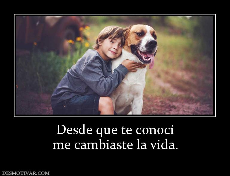 Desde que te conocí me cambiaste la vida.