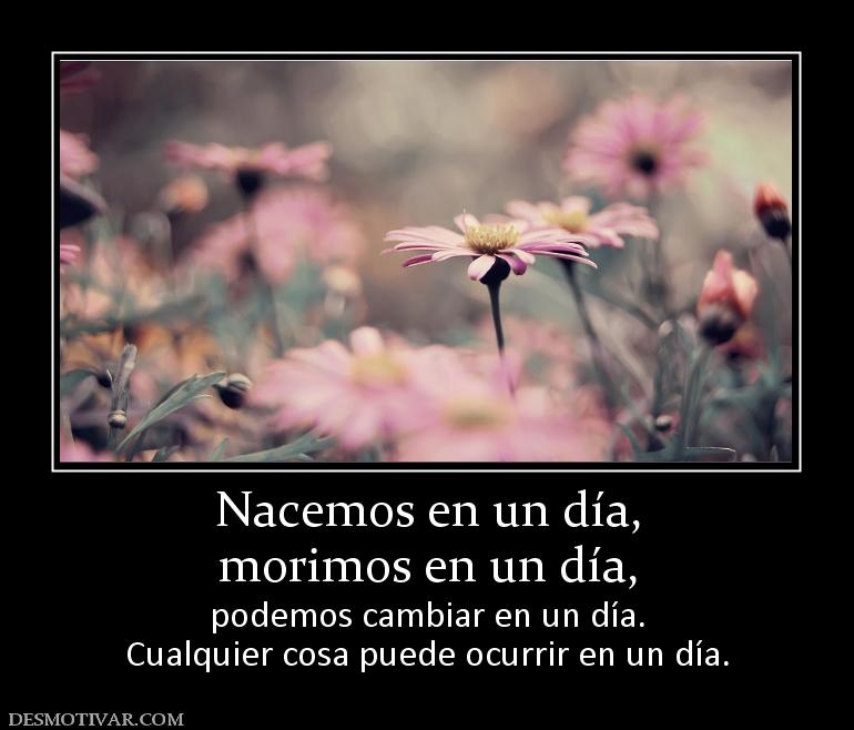 Nacemos en un día, morimos en un día, podemos cambiar en un día. Cualquier cosa puede ocurrir en un día.