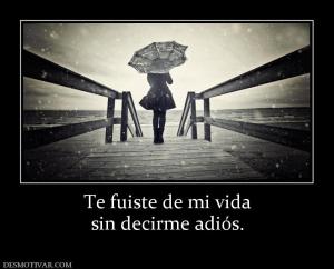Te fuiste de mi vida sin decirme adiós.
