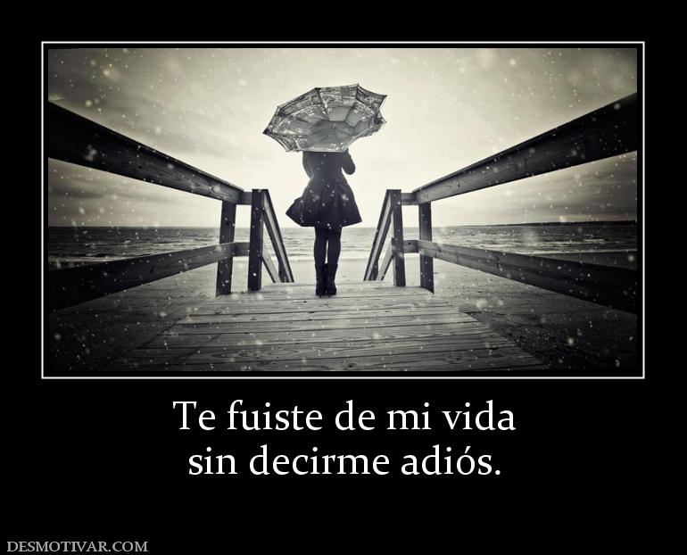 Te fuiste de mi vida sin decirme adiós.