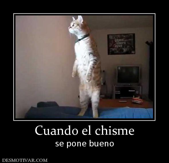 Cuando el chisme se pone bueno