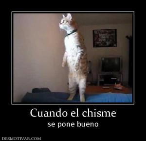 Cuando el chisme se pone bueno