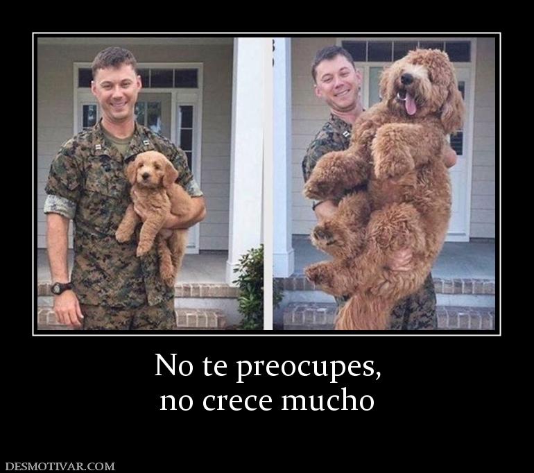 No te preocupes, no crece mucho