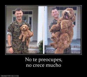 No te preocupes, no crece mucho