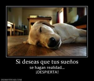 Si deseas que tus sueños se hagan realidad… ¡DESPIERTA!