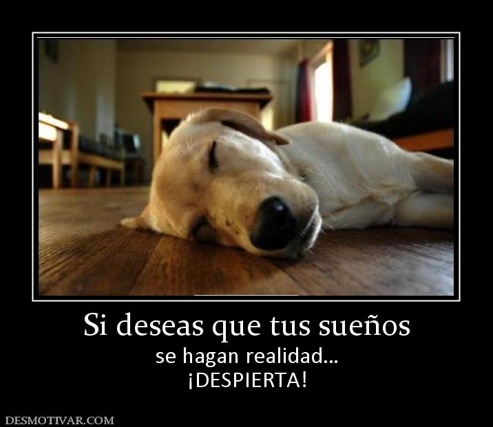 Si deseas que tus sueños se hagan realidad… ¡DESPIERTA!