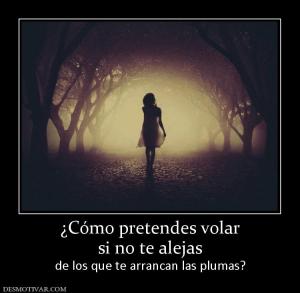 ¿Cómo pretendes volar si no te alejas    de los que te arrancan las plumas?