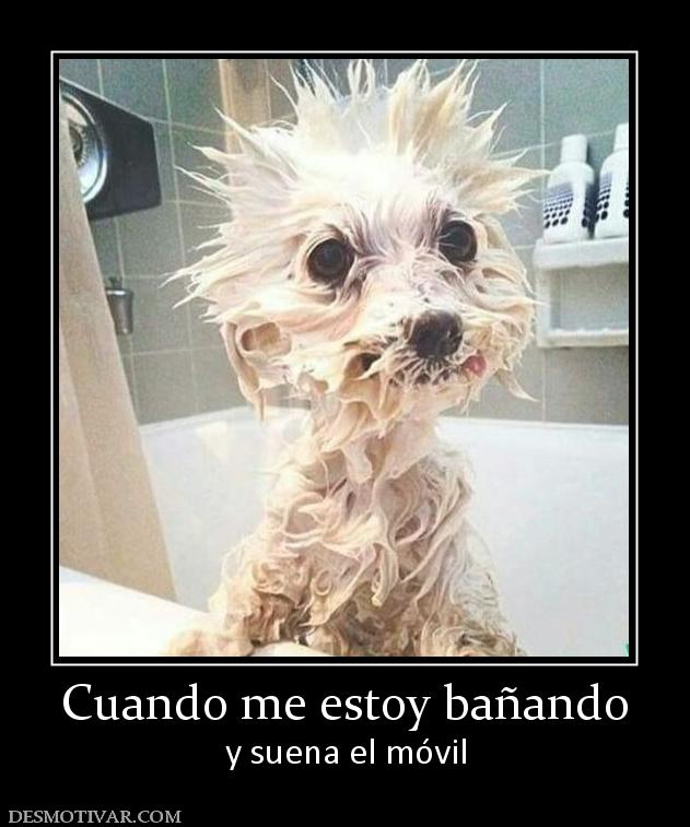 Cuando me estoy bañando y suena el móvil