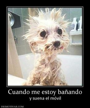 Cuando me estoy bañando y suena el móvil