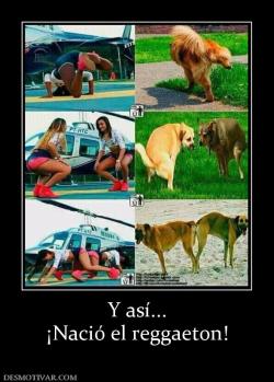 Y así... ¡Nació el reggaeton!