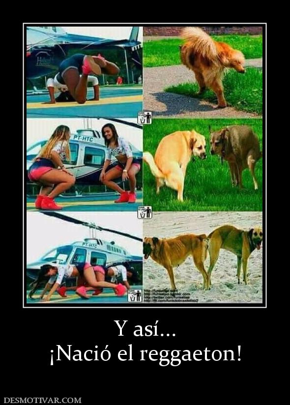 Y así... ¡Nació el reggaeton!