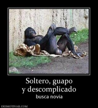 Soltero, guapo y descomplicado busca novia