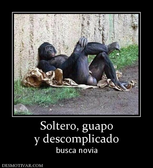 Soltero, guapo y descomplicado busca novia