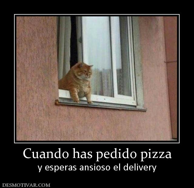 Cuando has pedido pizza y esperas ansioso el delivery