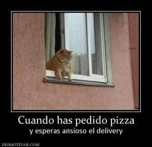 Cuando has pedido pizza y esperas ansioso el delivery