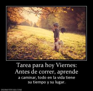 Tarea para hoy Viernes: Antes de correr, aprende  a caminar, todo en la vida tiene su tiempo y su lugar.