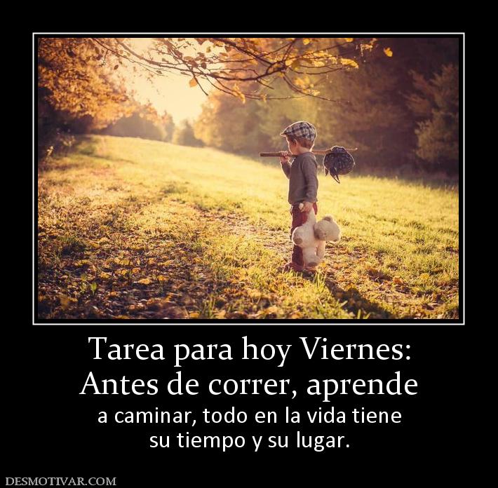 Tarea para hoy Viernes: Antes de correr, aprende  a caminar, todo en la vida tiene su tiempo y su lugar.